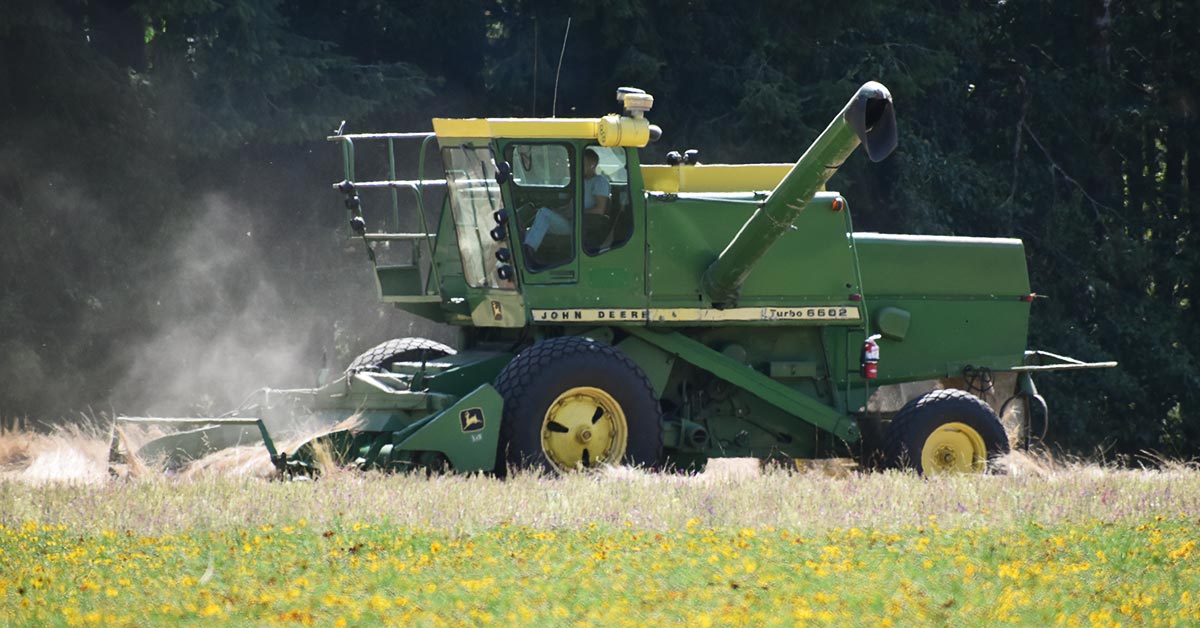 Combine Flowers
