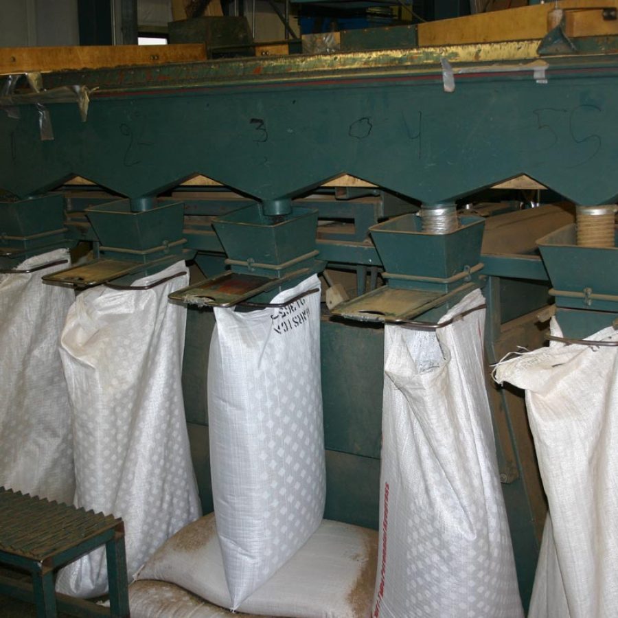 Filling Seed Bags