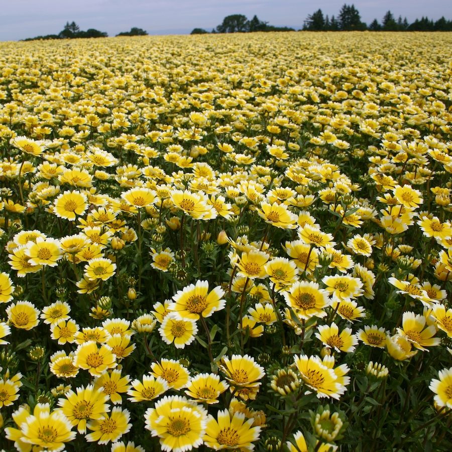 tidy tips_tower_53012 10 Angela Rose